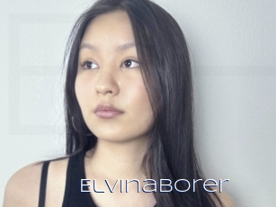 Elvinaborer