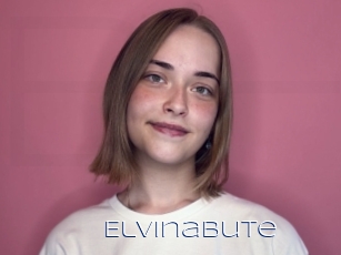 Elvinabute
