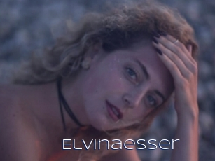 Elvinaesser