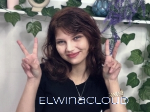 Elwinacloud