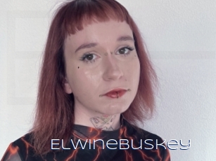 Elwinebuskey