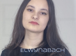 Elwynabach