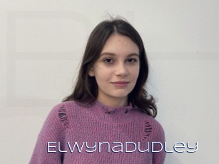 Elwynadudley