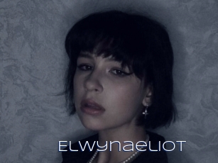 Elwynaeliot