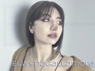 Elwynagallamore