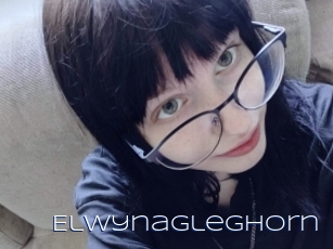 Elwynagleghorn