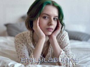 Emilylabunny