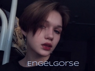 Engelgorse