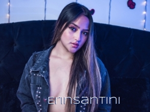 Erinsantini