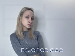 Erlenebigge