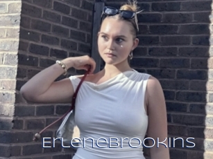 Erlenebrookins
