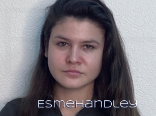 Esmehandley