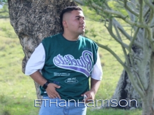 Ethanharrison