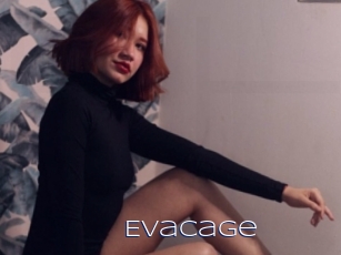 Evacage