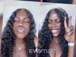 Evamae