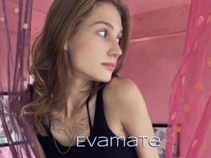 Evamate