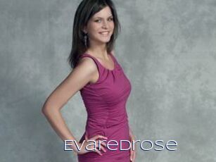Evaredrose