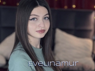Evelinamur