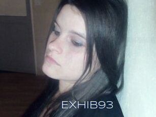 Exhib93