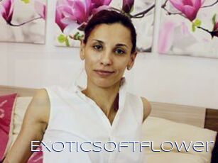 Exoticsoftflower