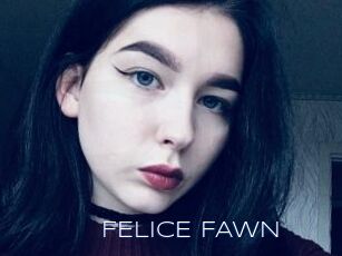 FELICE_FAWN