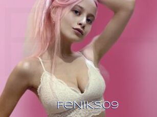 FeNiKs09