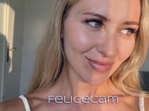 Felicecam