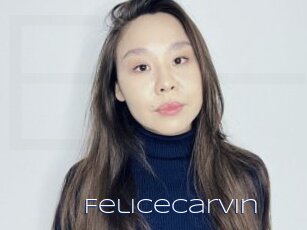 Felicecarvin