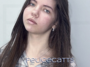 Felicecatts