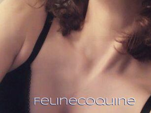 Felinecoquine