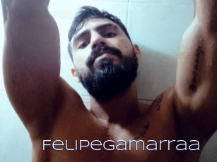 Felipegamarraa