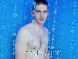 Felixgunn