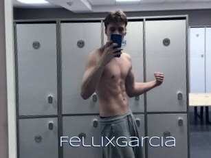 Fellixgarcia