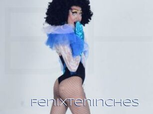 Fenixteninches