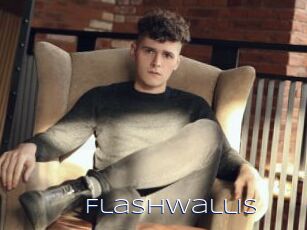 Flashwallis