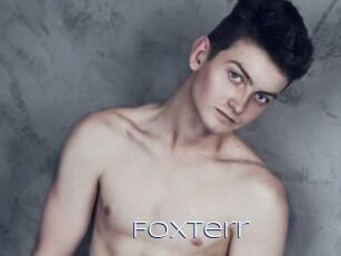 Foxterr