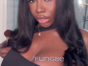 Fung8e