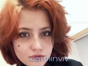 GarminViV Blue Hot