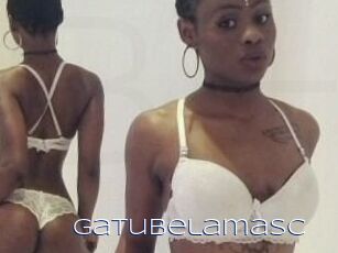 Gatubela_masc
