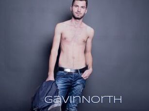GavinNorth
