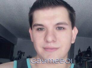 Gaymeboi