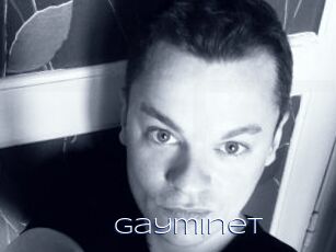 Gayminet