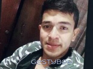 Gestyboy
