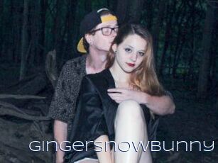 GingerSnowBunny