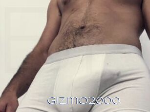 Gizmo2000