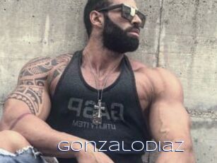 GonzaloDiaz
