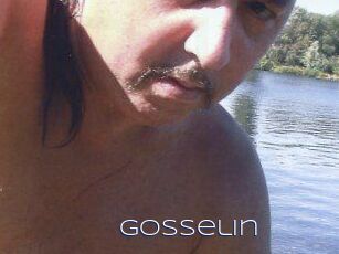 Gosselin Blue Hot