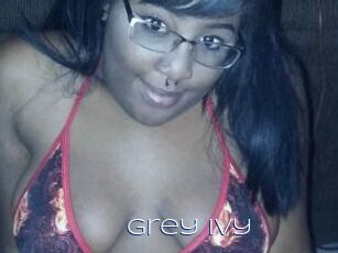 Grey_Ivy