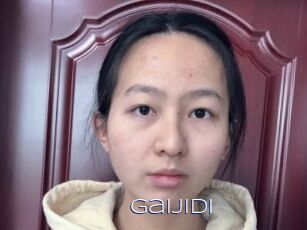 Gaijidi