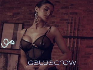 Galyacrow